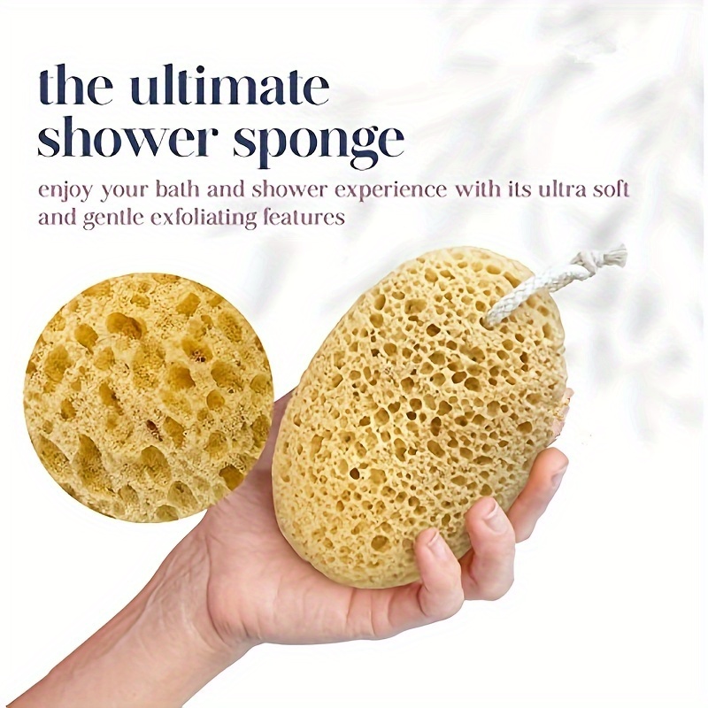 Unisex Seaweed Sponge Bath Bub - đánh giá và giá Seaweed Snack