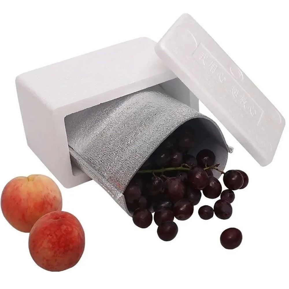 Aluminum Foil Cooler Bag Insul - đánh giá và giá Food Snacks Delivery