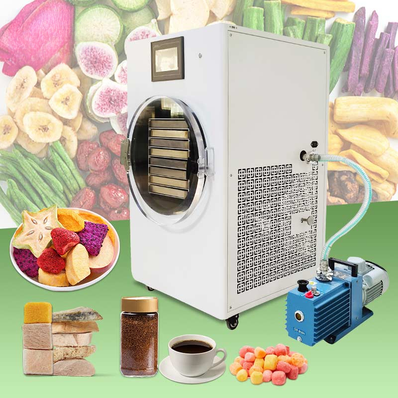Small Freeze Mini Liofilizador - đánh giá và giá Dried Fruit