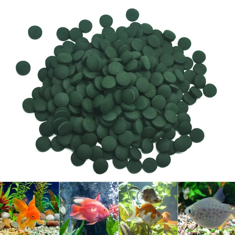 50-300Pcs High Purity Spirulin - đánh giá và giá Seaweed Snack