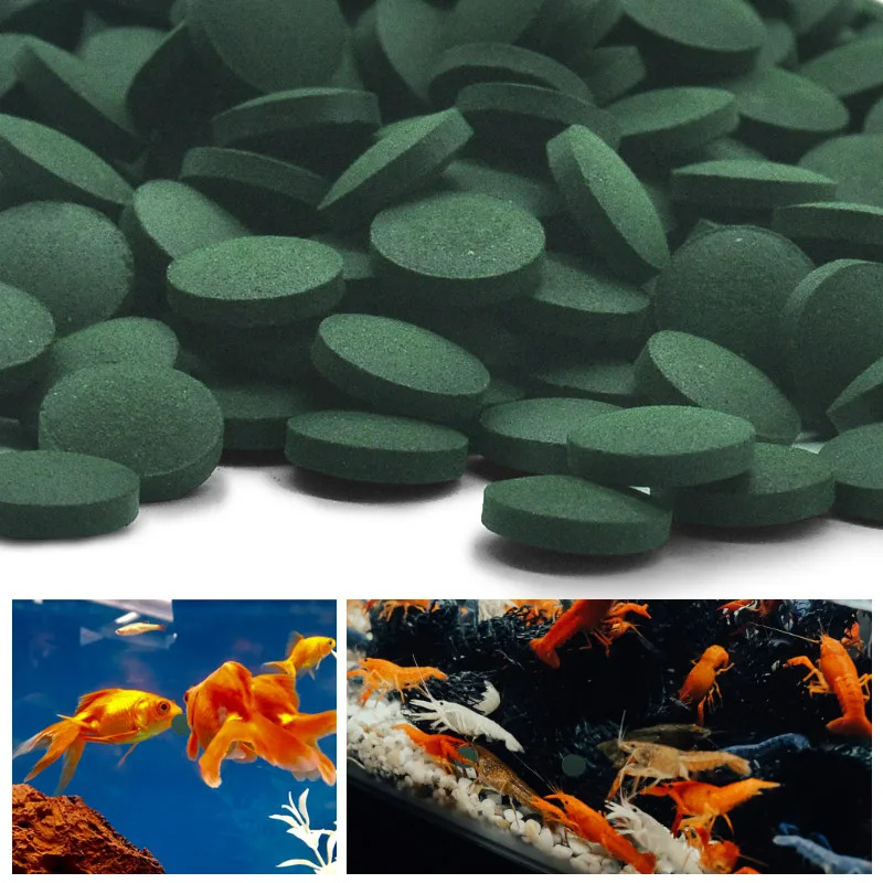 50-300Pcs High Purity Spirulin - đánh giá và giá Seaweed Snack