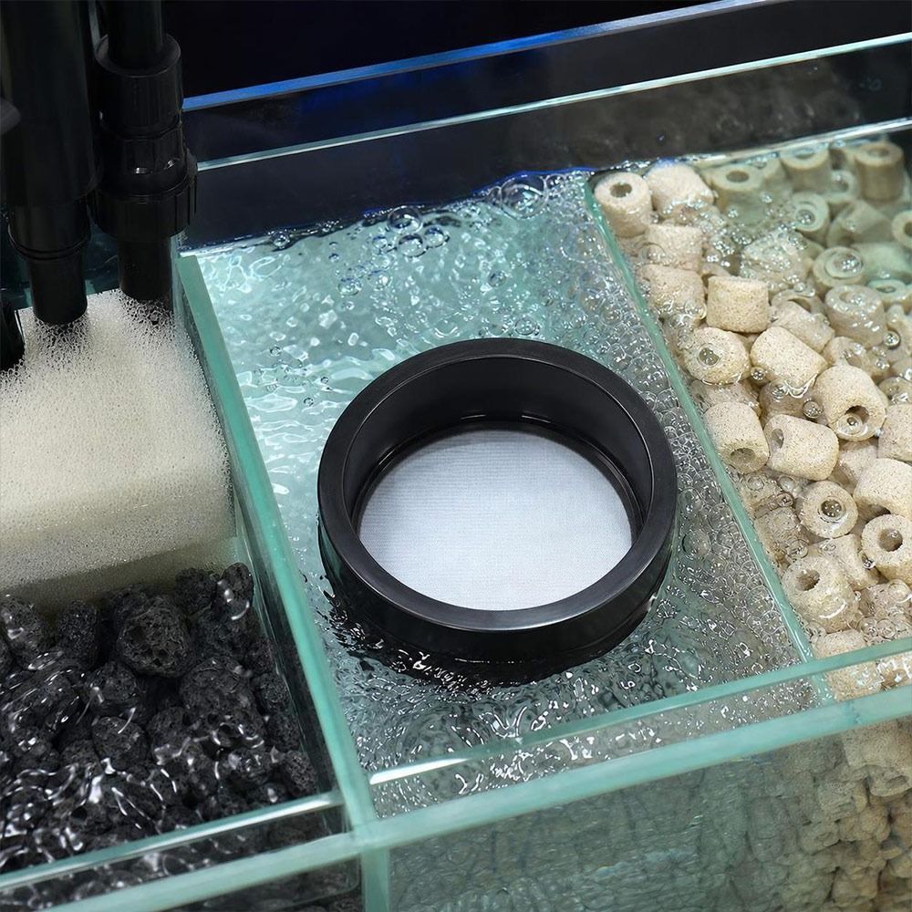 PVC Aquarium Filter Screen Nyl - đánh giá và giá Seaweed Snack